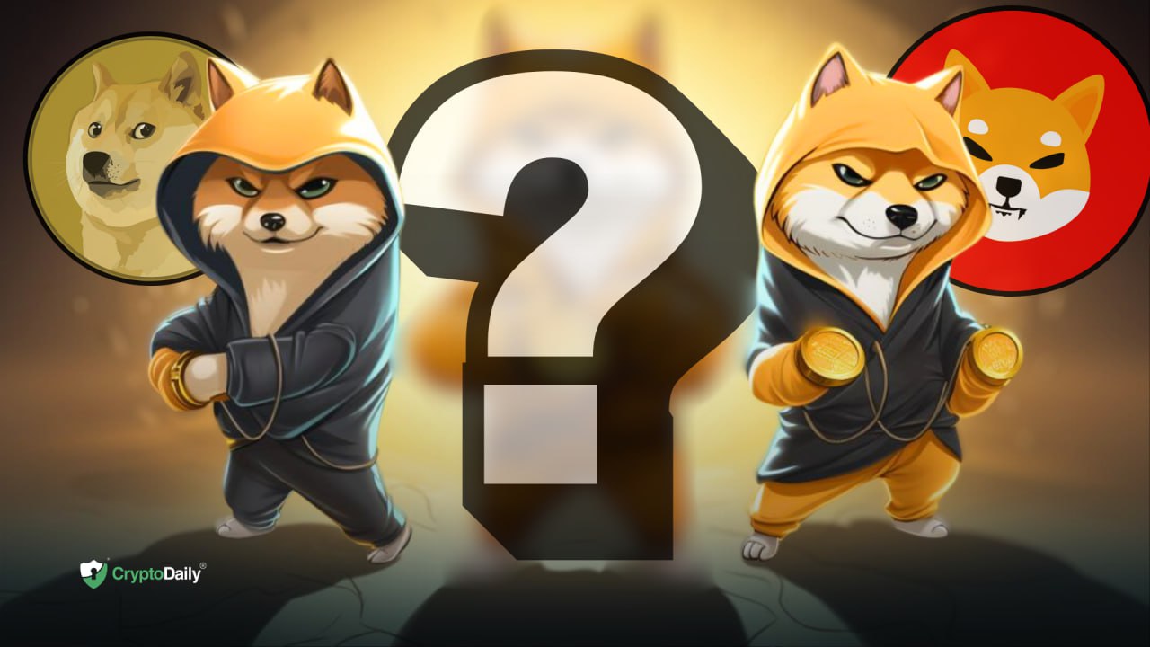 Shadows Over Meme Coins, Dogecoin (DOGE) And Shiba Inu (SHIB) Face New ...